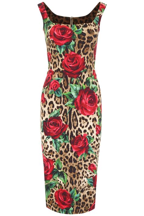 dolce gabbana leopard rose dress|Dolce & Gabbana floral dress sale.